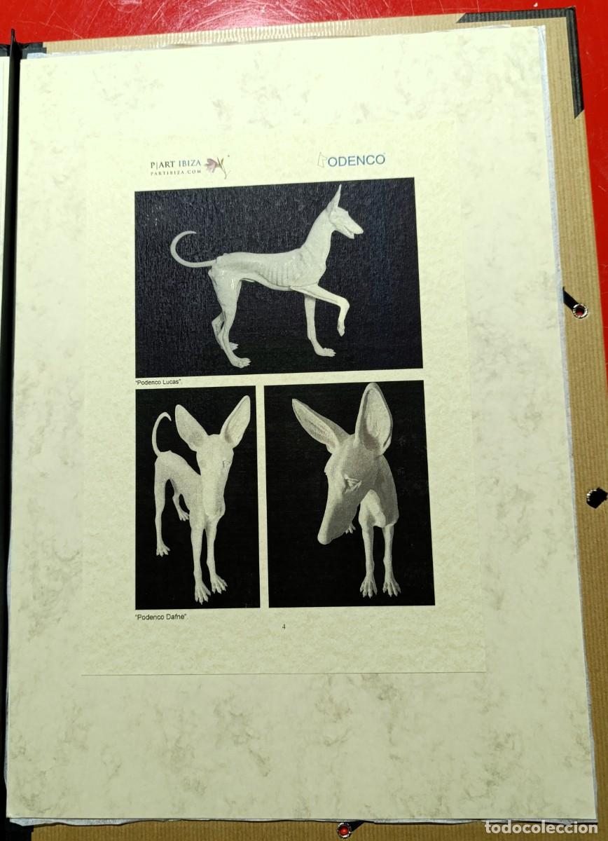 Otros objetos de arte: CARPETA DEL PROYECTO &ldquo;PODENCO&rdquo; DE ART IBIZA - Foto 5