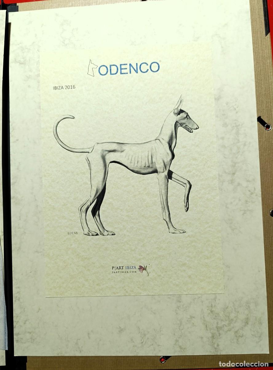 Otros objetos de arte: CARPETA DEL PROYECTO &ldquo;PODENCO&rdquo; DE ART IBIZA - Foto 9