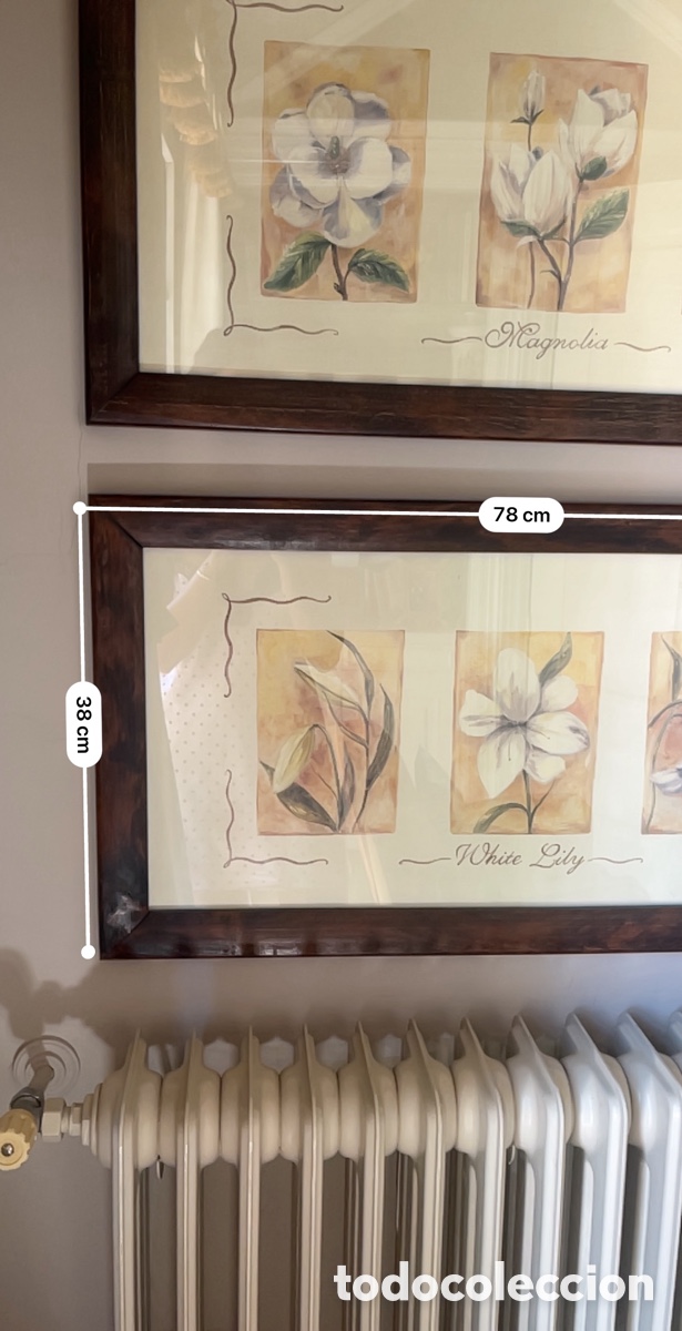 Otros objetos de arte: Cuadros con marco de madera Magnolia y Lirio - Foto 3