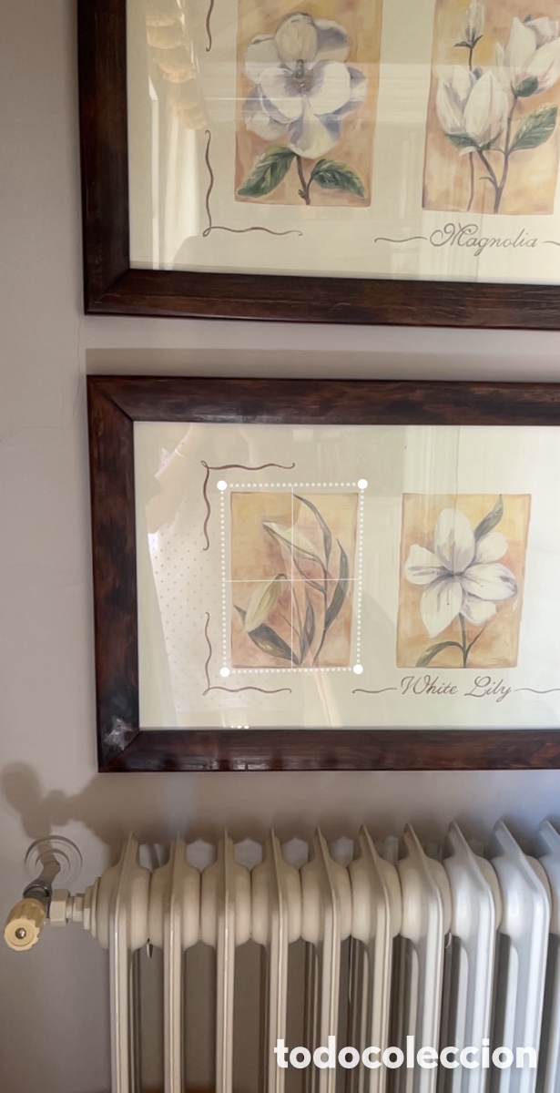 Otros objetos de arte: Cuadros con marco de madera Magnolia y Lirio - Foto 4
