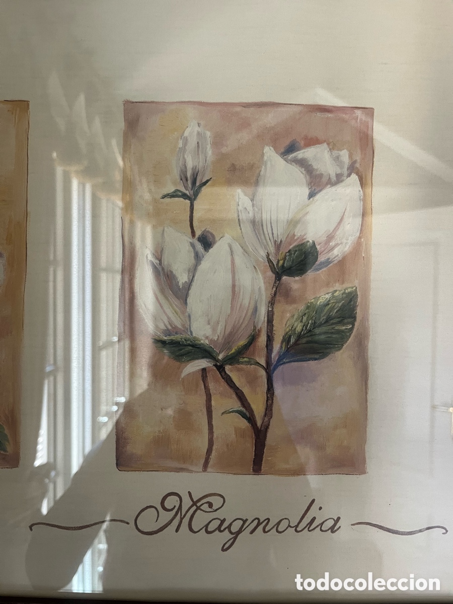 Otros objetos de arte: Cuadros con marco de madera Magnolia y Lirio - Foto 5