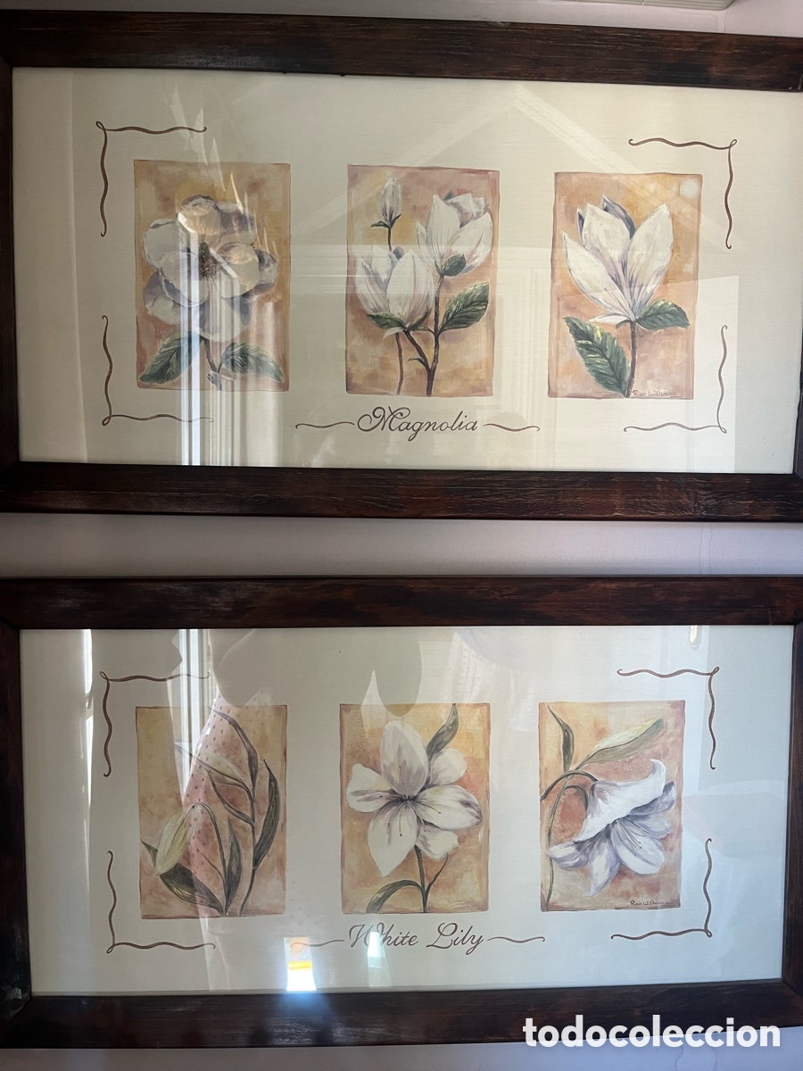 Otros objetos de arte: Cuadros con marco de madera Magnolia y Lirio - Foto 1