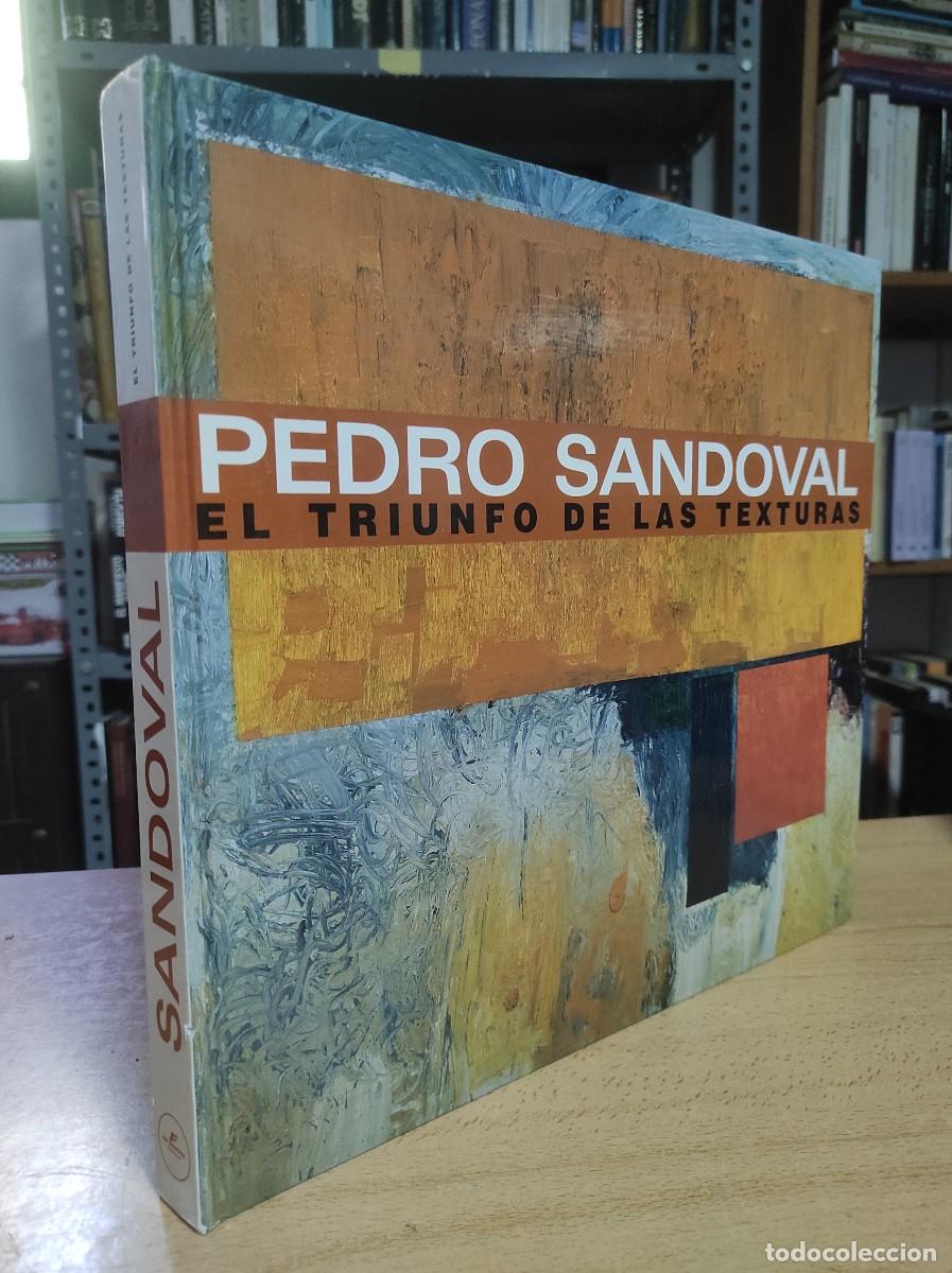 Otros objetos de arte: PEDRO SANDOVAL. EL TRIUNFO DE LAS TEXTURAS - Foto 1