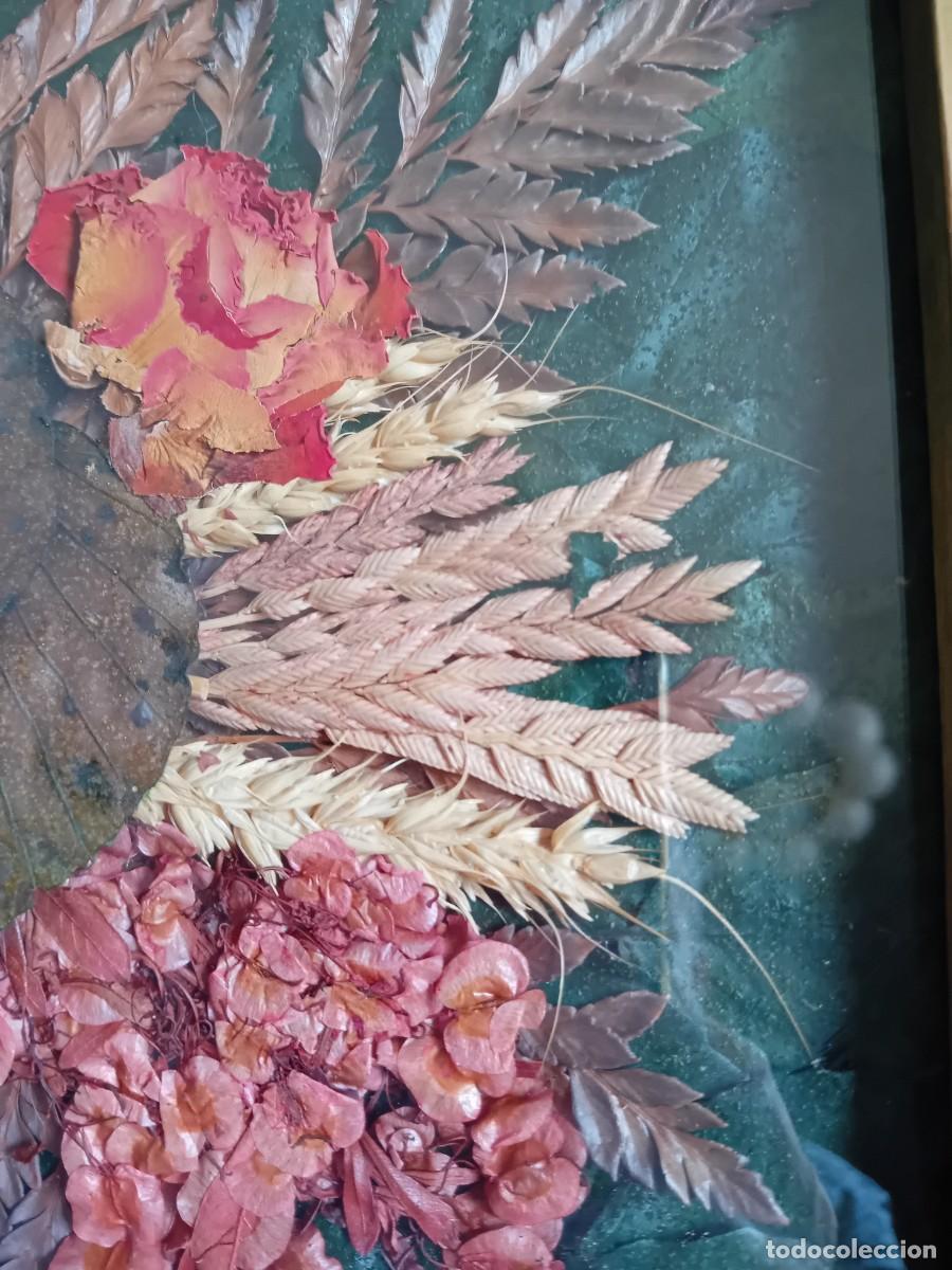 Otros objetos de arte: Cuadro de hojas flores trigo y cebada - Foto 2