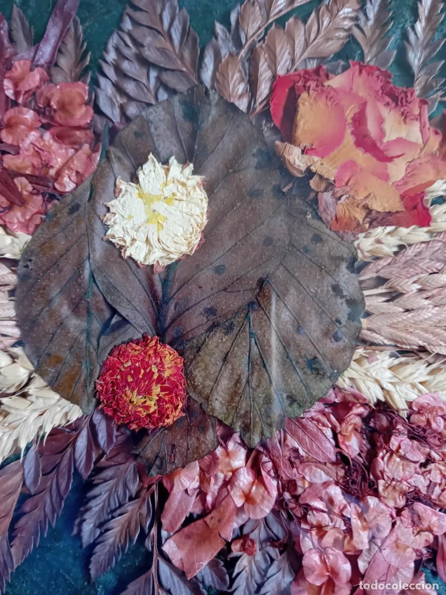Otros objetos de arte: Cuadro de hojas flores trigo y cebada - Foto 3