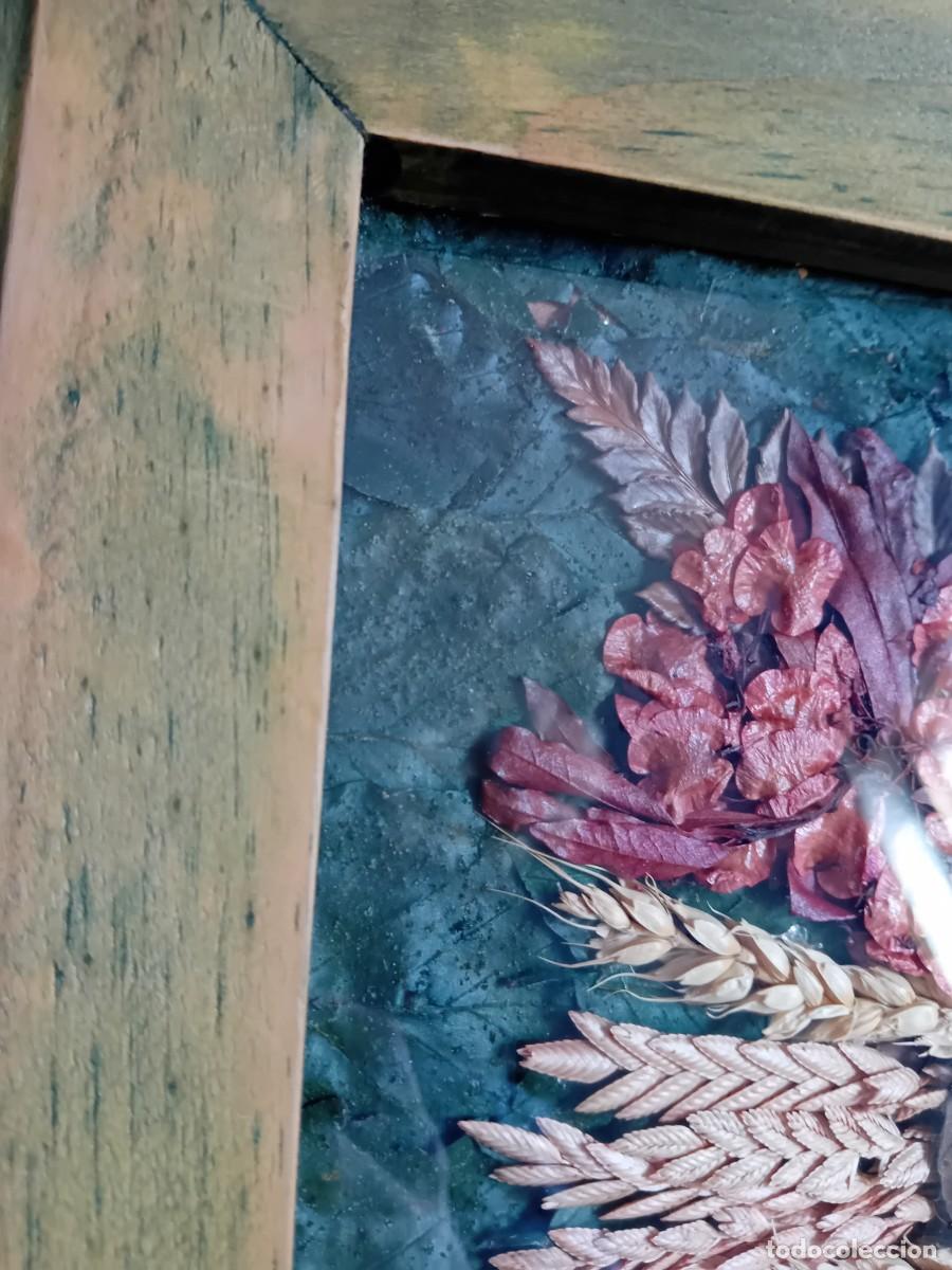Otros objetos de arte: Cuadro de hojas flores trigo y cebada - Foto 4