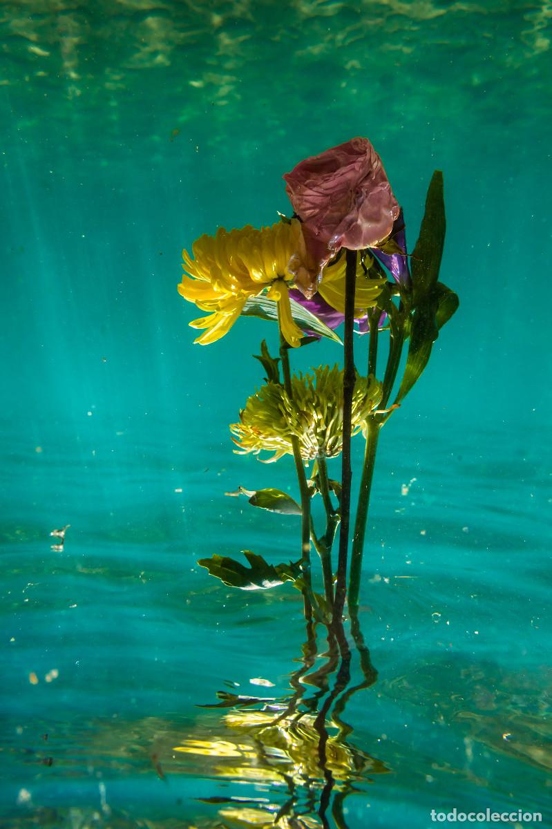 Otros objetos de arte: Foto fine art &rdquo;Underwater #137&rdquo; - Foto 1