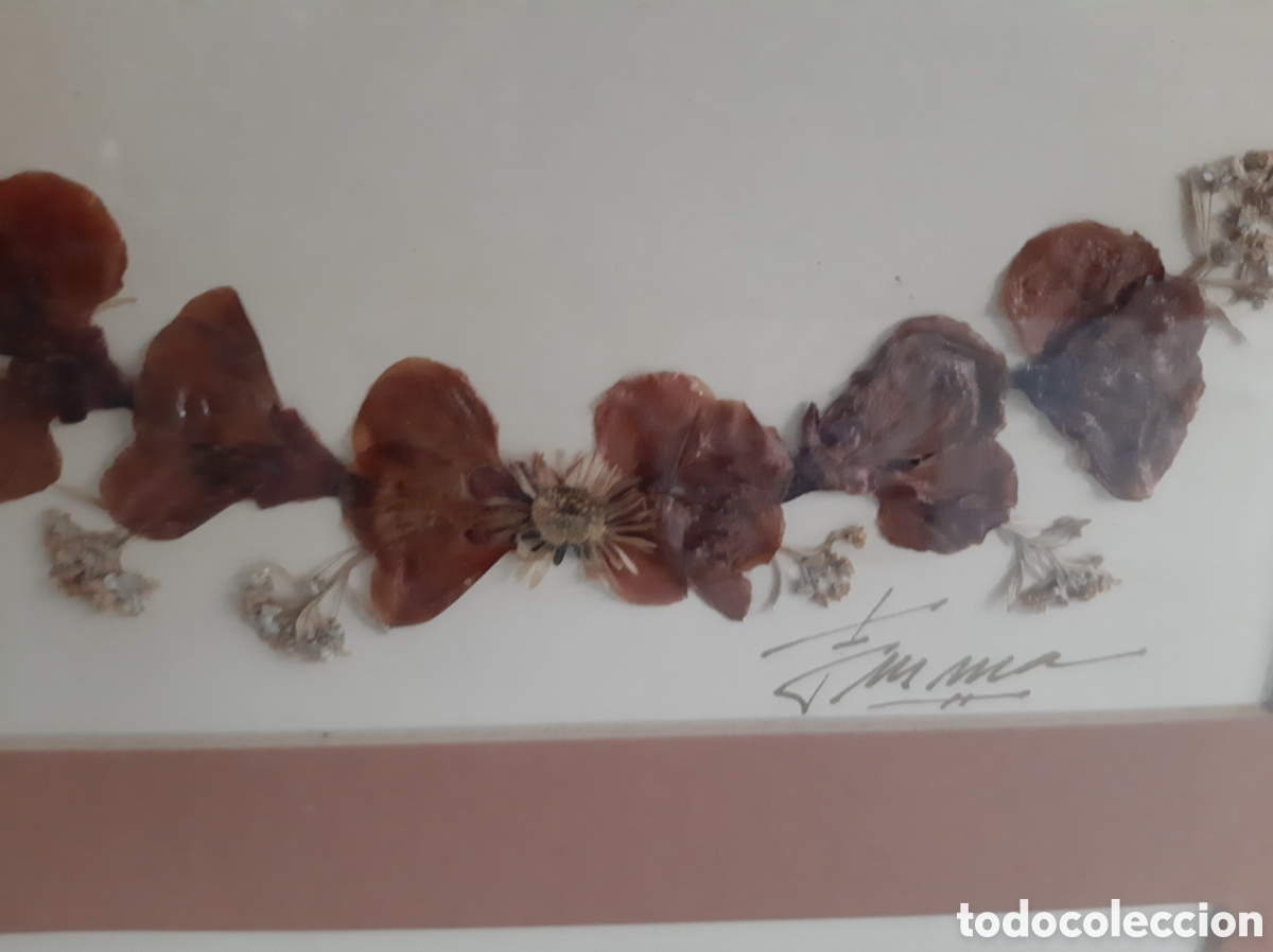 Otros objetos de arte: Cuadro 2 l&aacute;minas flores secas firma EMMA - Foto 3