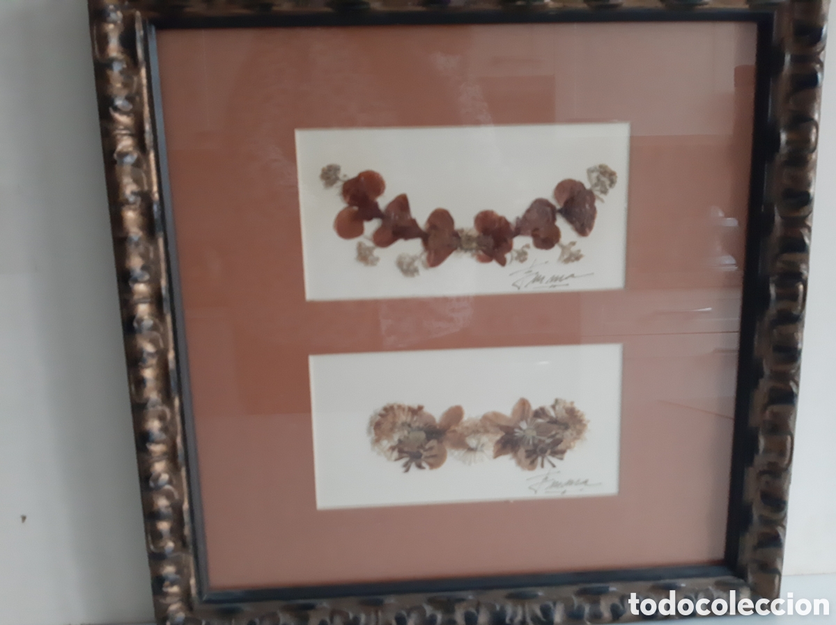 Otros objetos de arte: Cuadro 2 l&aacute;minas flores secas firma EMMA - Foto 1