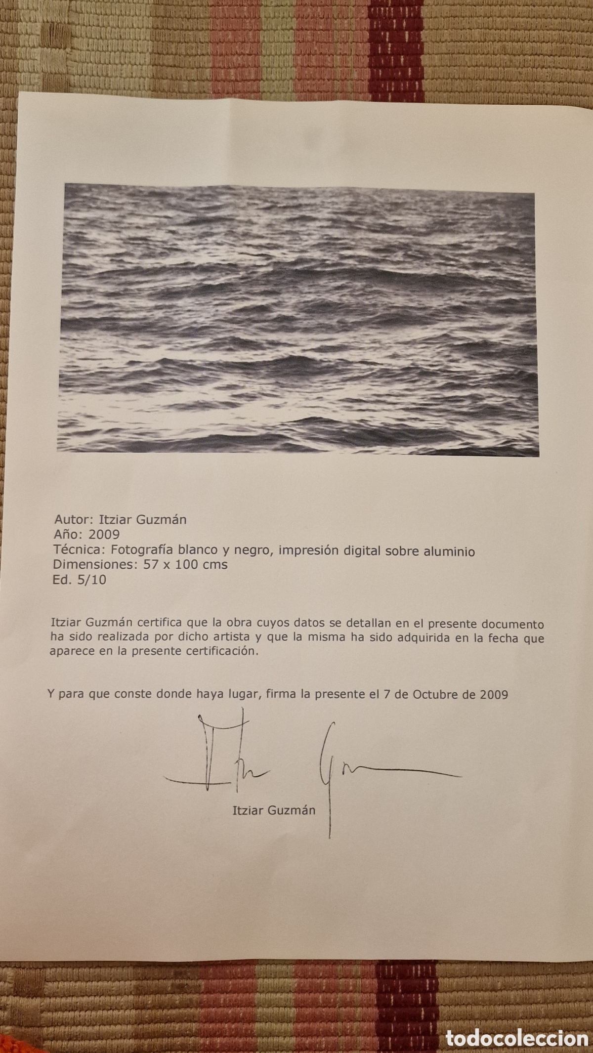 Otros objetos de arte: Cuadro delmar aluminio Itziar Guzm&aacute;n - Foto 2