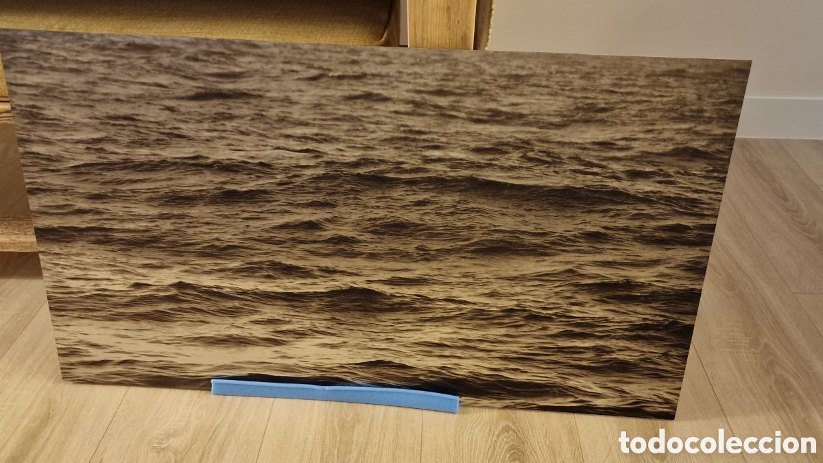 Otros objetos de arte: Cuadro delmar aluminio Itziar Guzm&aacute;n - Foto 1