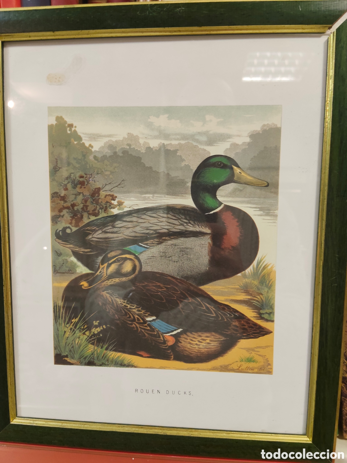 Otros objetos de arte: Lote de dos cuadros laminas inglesas - Foto 2