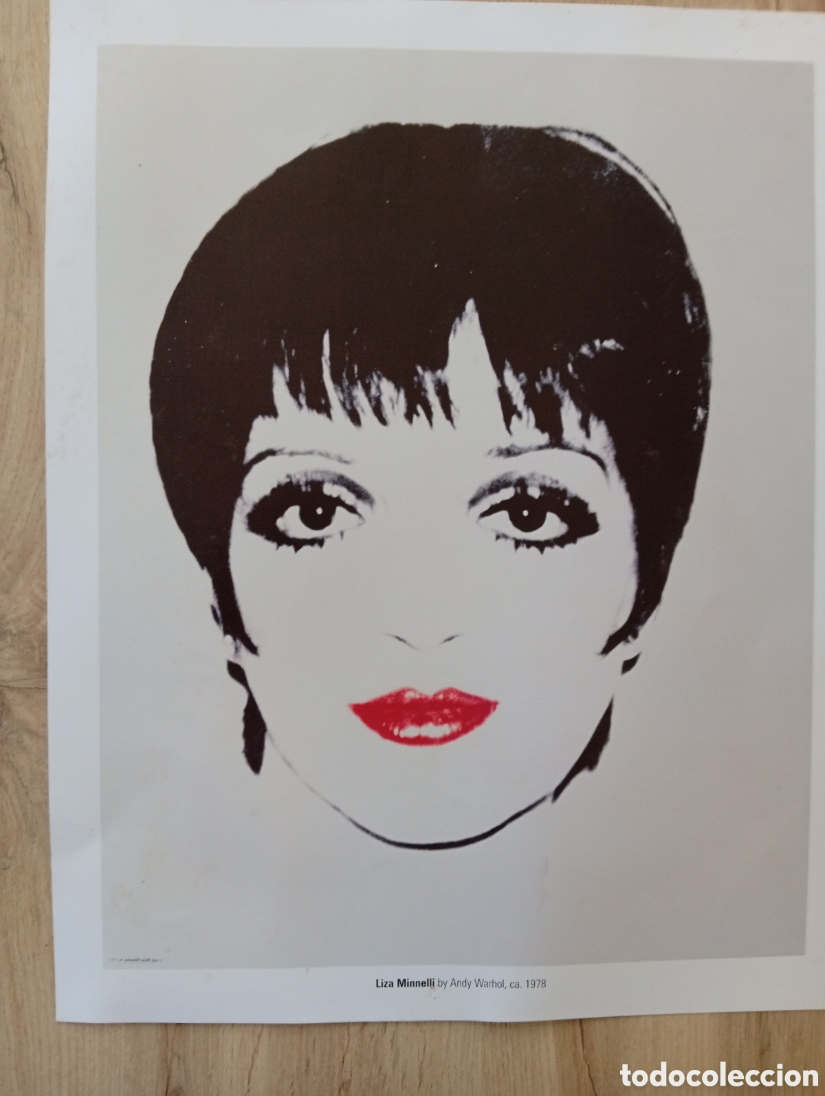 Otros objetos de arte: Bonita Lamina decorativa - Foto 1