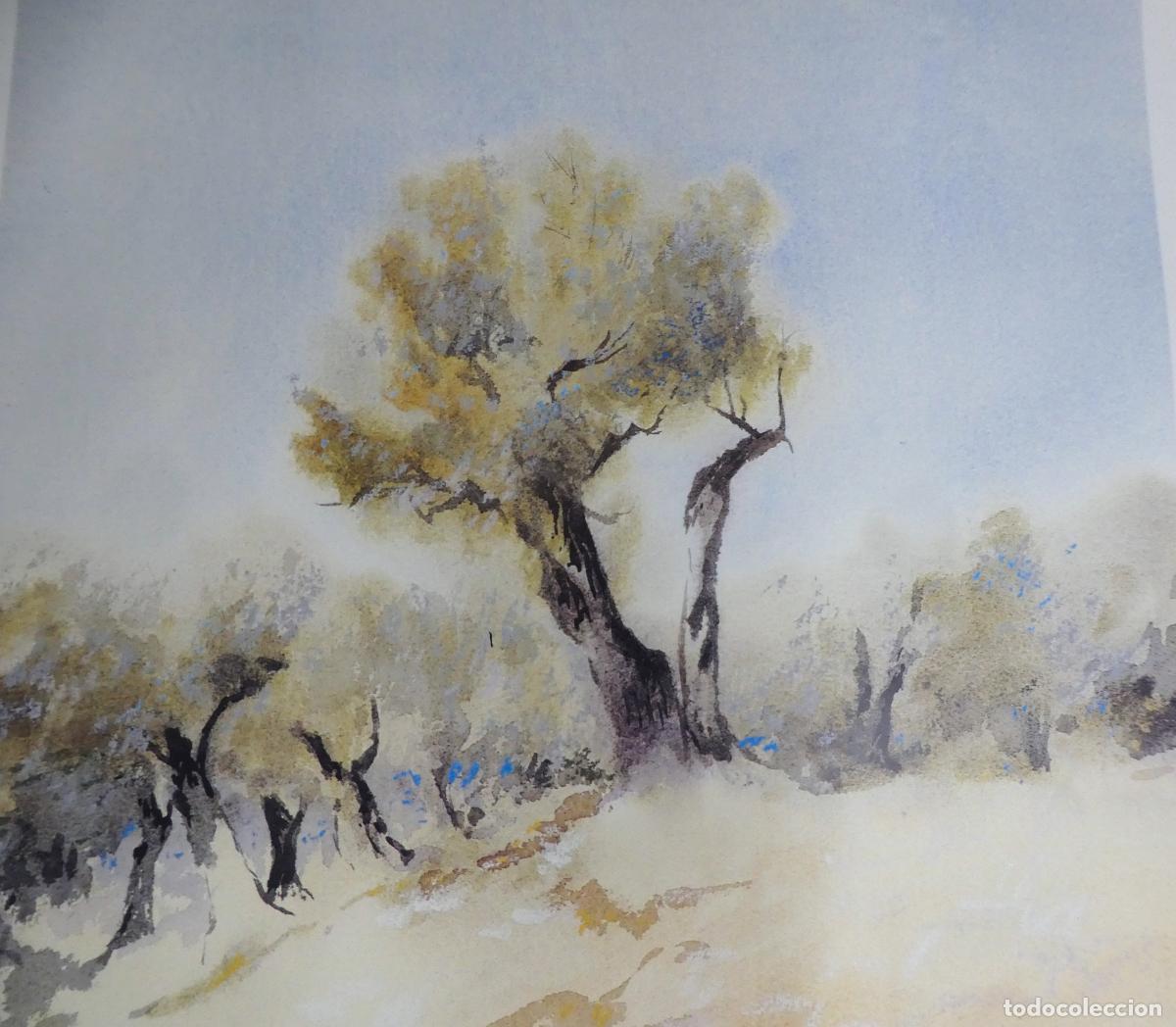 Otros objetos de arte: Bonito poster de Eberhard Schlotter, mide 88X61 cm - Foto 2