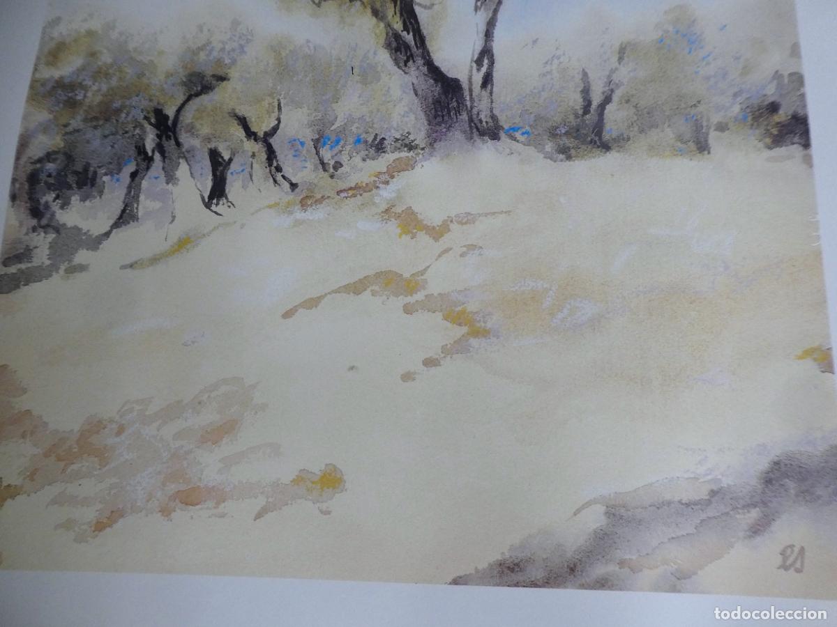 Otros objetos de arte: Bonito poster de Eberhard Schlotter, mide 88X61 cm - Foto 3