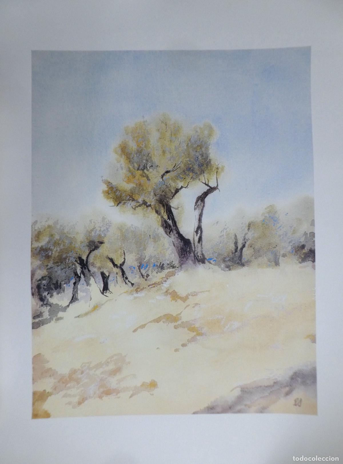 Otros objetos de arte: Bonito poster de Eberhard Schlotter, mide 88X61 cm - Foto 1