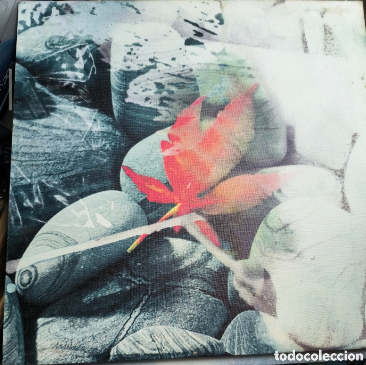 Otros objetos de arte: Cuadro decoraci&oacute;n hoja 40 x 40 cm - Foto 1