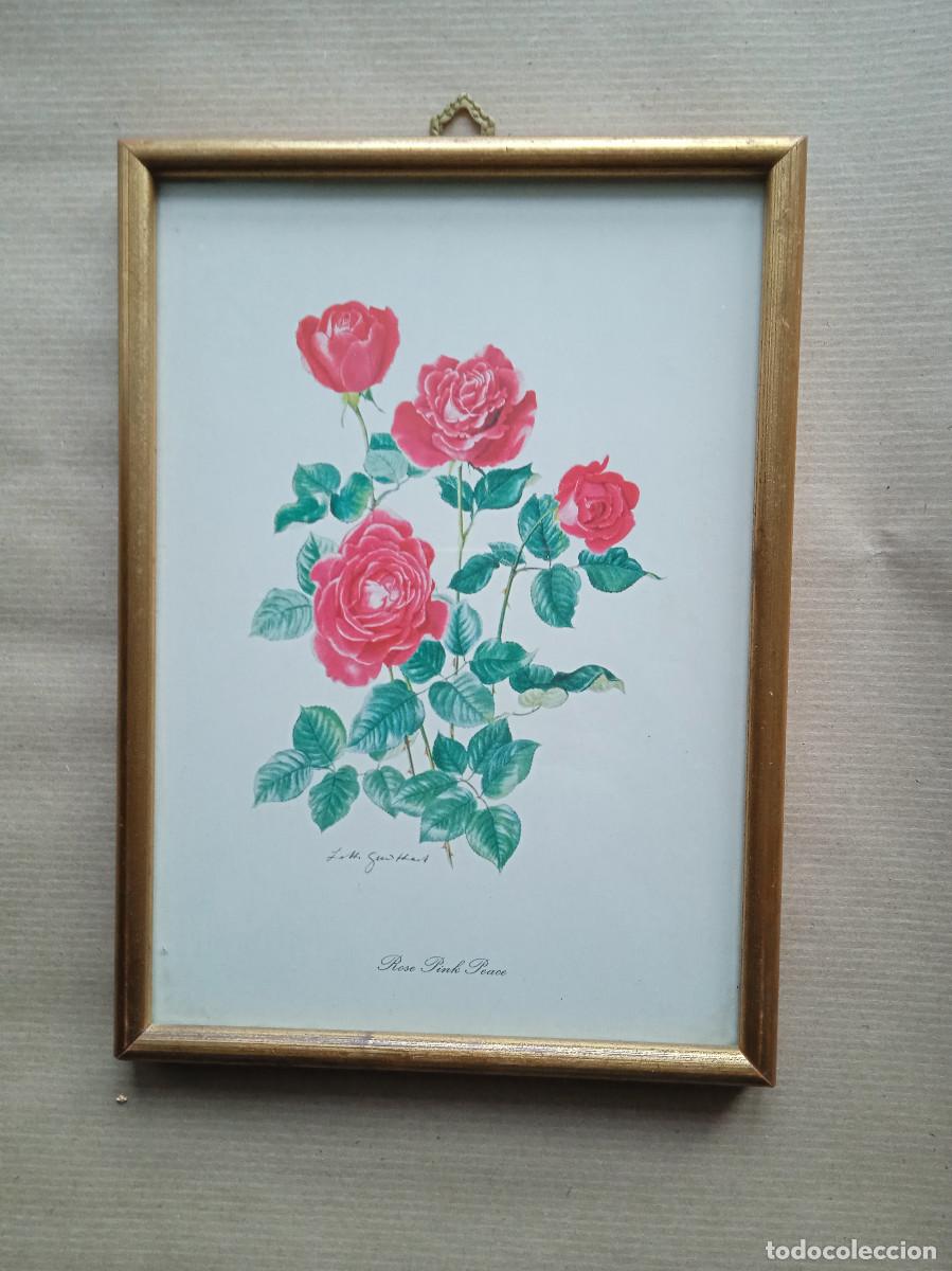 Otros objetos de arte: Cuadro que representa &rdquo;Rosa Paz Rosa&rdquo; - Foto 1