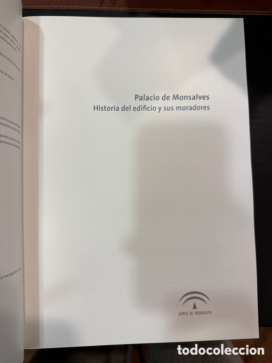 Otros objetos de arte: PALACIO de Monsalves: Historia del edificio y sus moradores - Foto 2