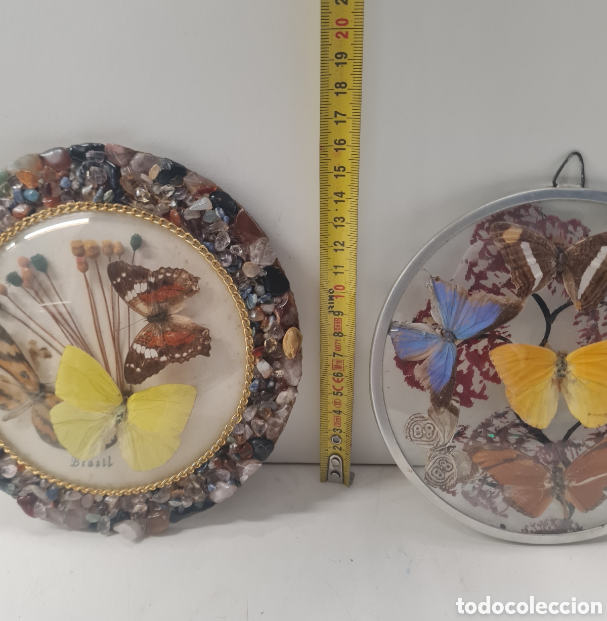 Otros objetos de arte: Cuadro redondo mariposas - Foto 4