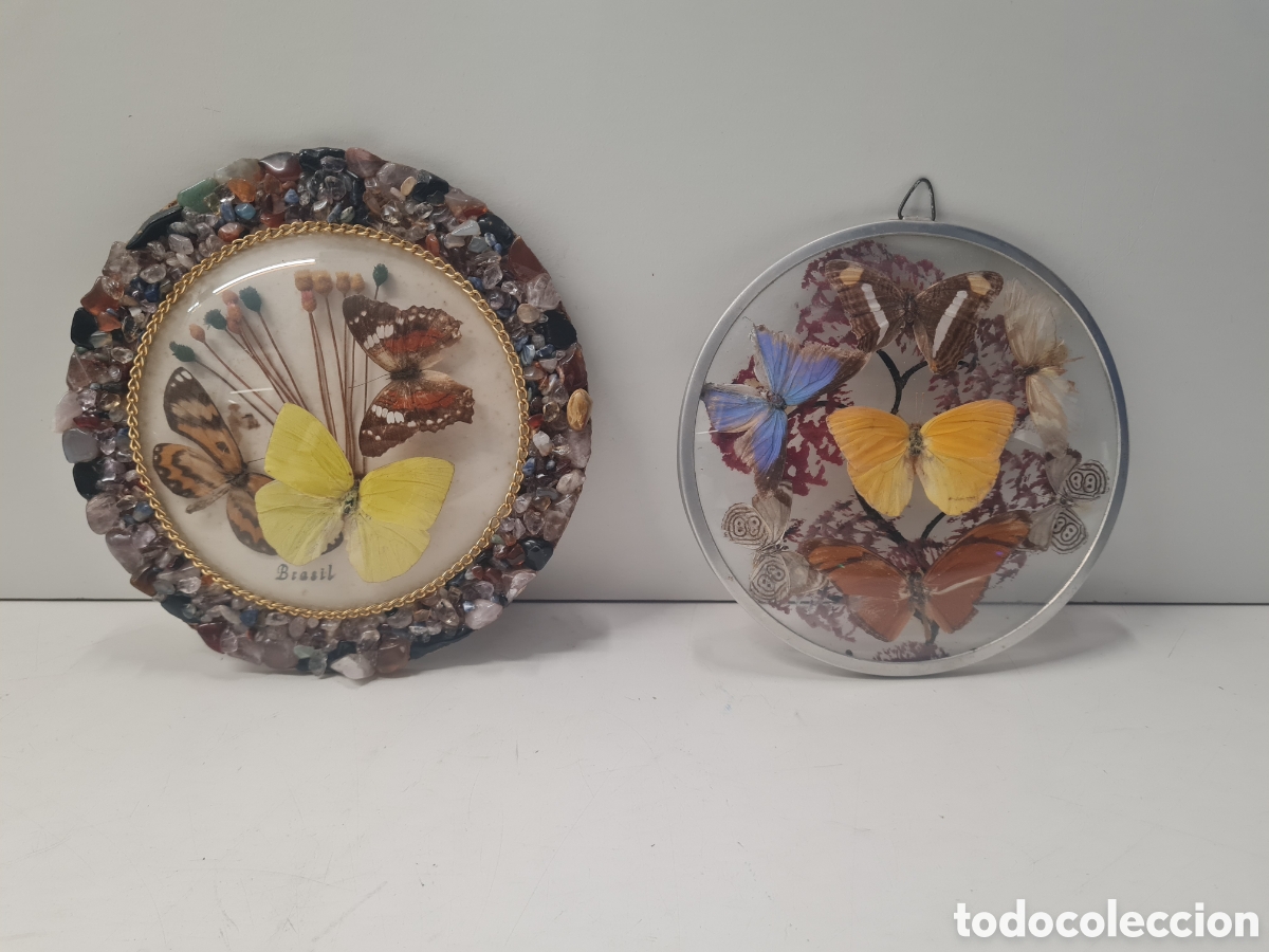 Otros objetos de arte: Cuadro redondo mariposas - Foto 1
