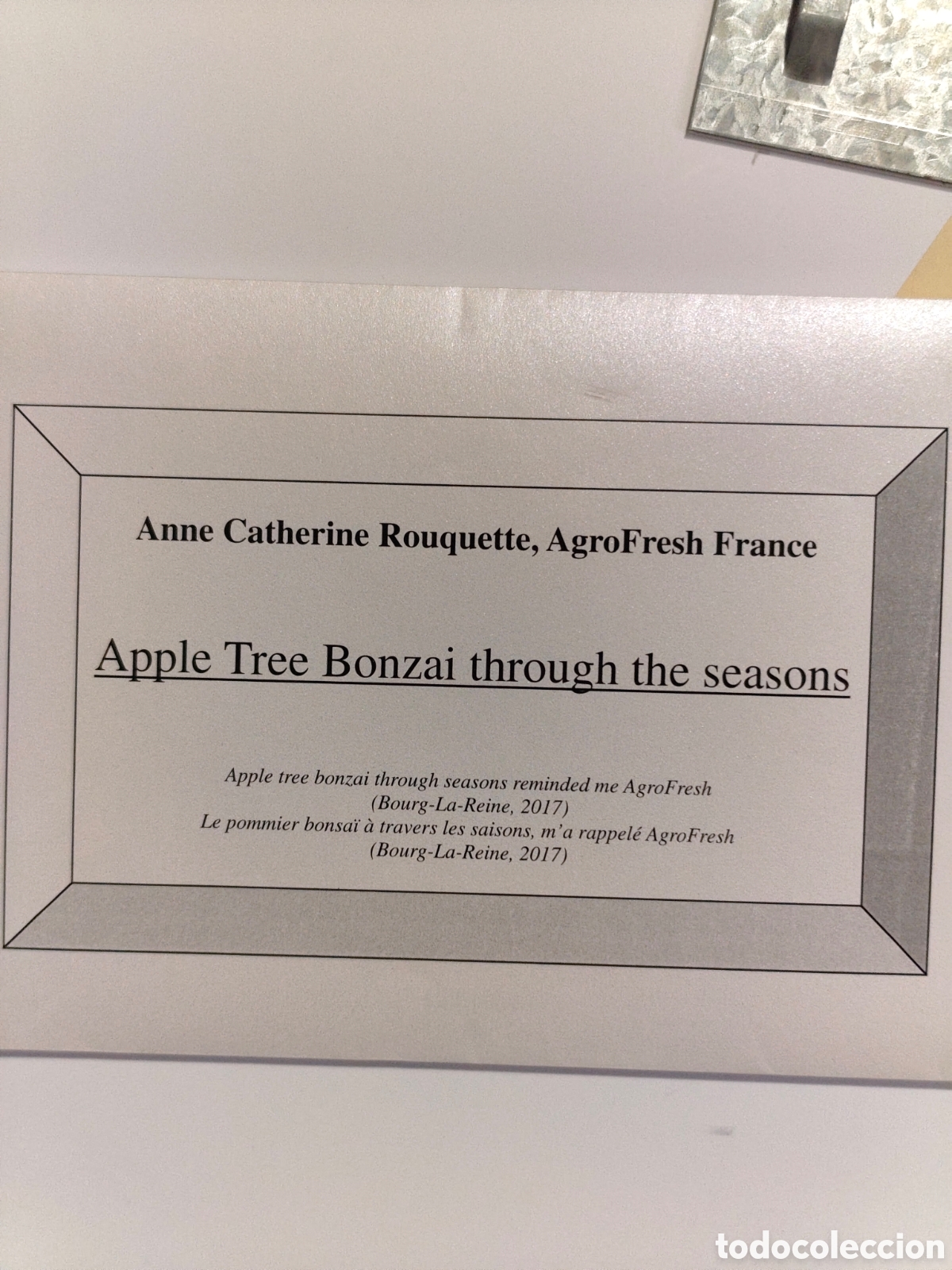 Otros objetos de arte: Cuando Apple tree bonzai though the reason - Foto 3