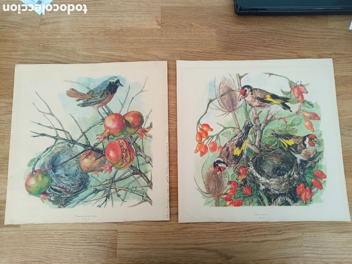 Otros objetos de arte: Pareja de laminas estilo a&ntilde;os 40 - Foto 1
