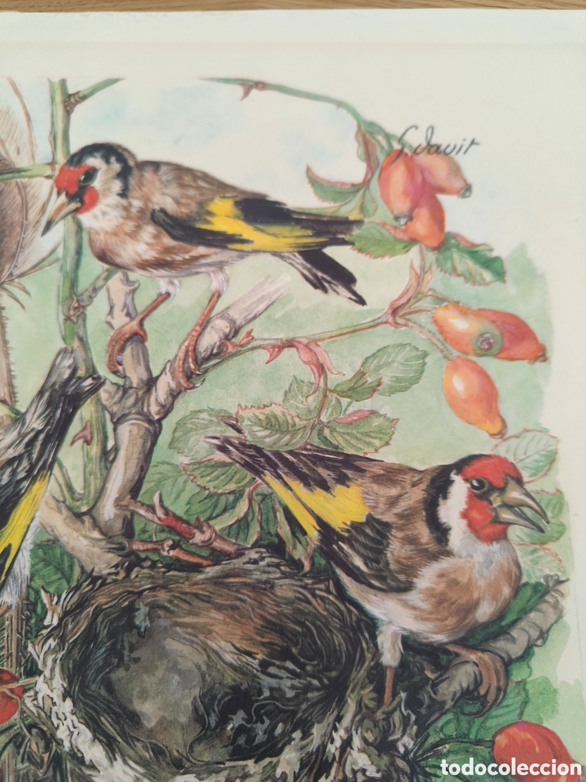 Otros objetos de arte: Pareja de laminas estilo a&ntilde;os 40 - Foto 3