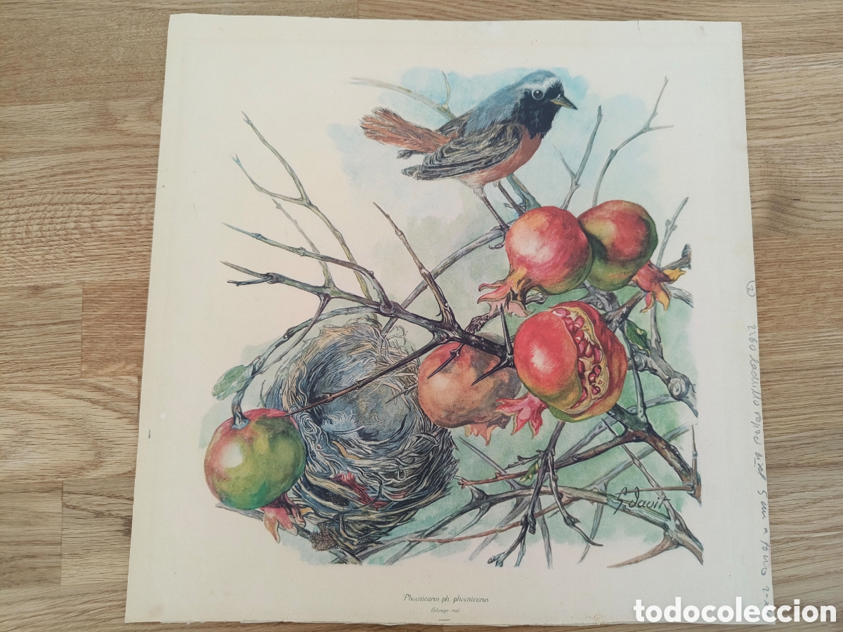 Otros objetos de arte: Pareja de laminas estilo a&ntilde;os 40 - Foto 4