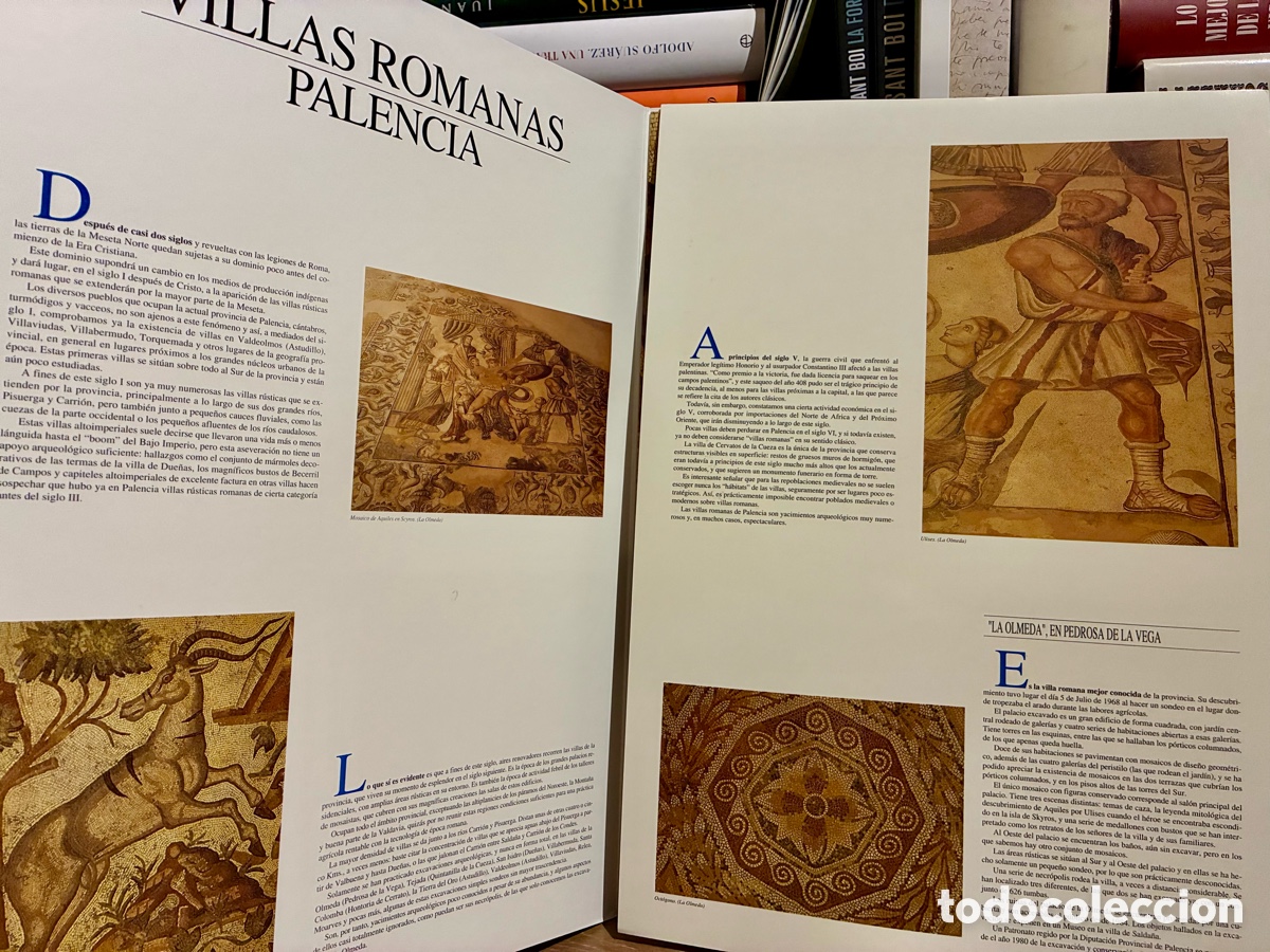 Otros objetos de arte: VILLAS ROMANAS (PALENCIA) - Foto 2
