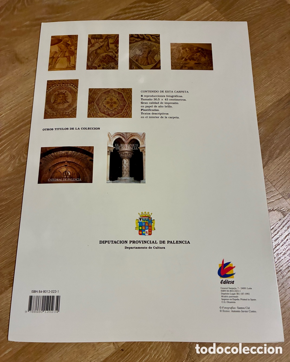 Otros objetos de arte: VILLAS ROMANAS (PALENCIA) - Foto 6