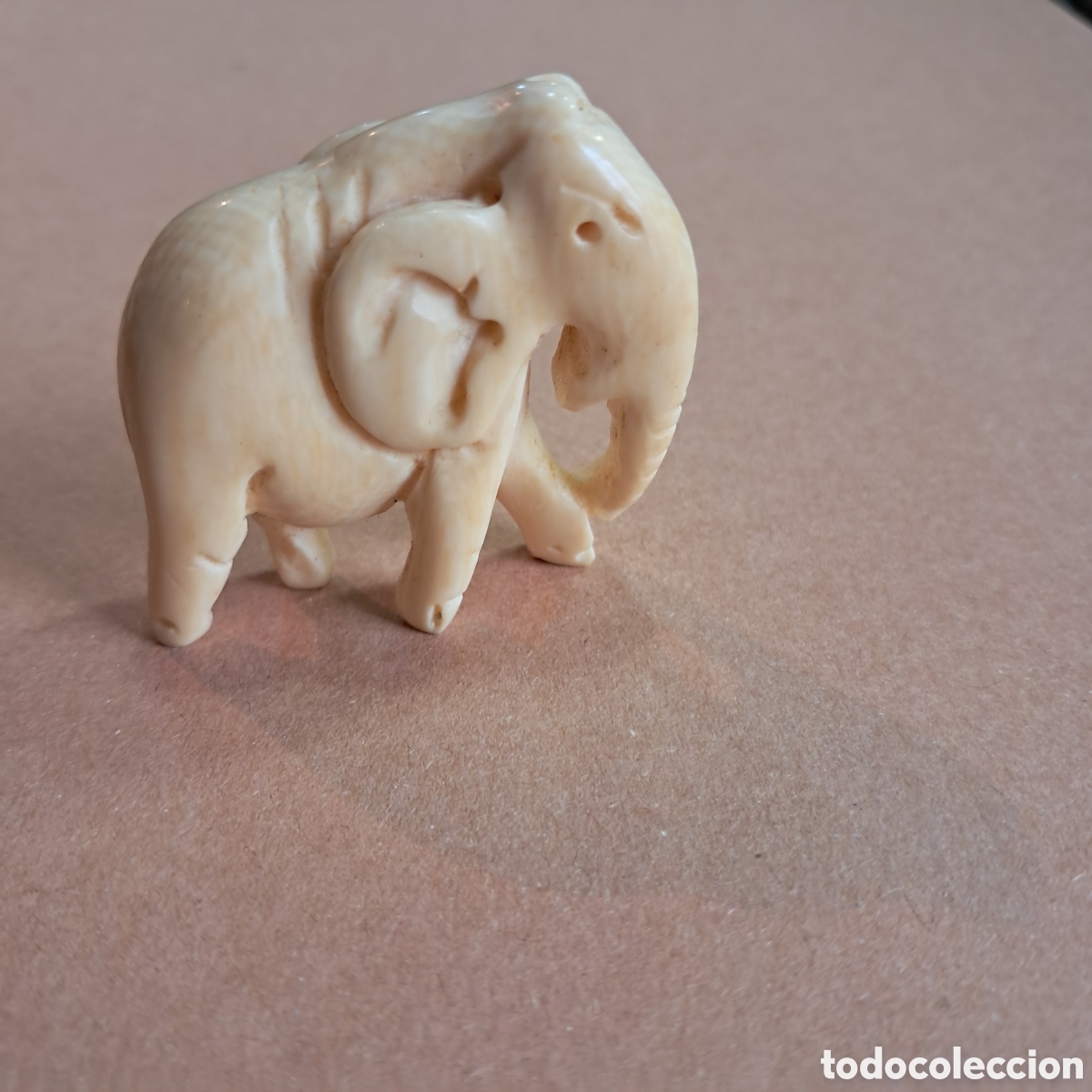 Otros objetos de arte: Elefante tallado en marfil - Foto 2