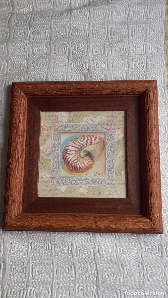 Otros objetos de arte: L&aacute;mina enmarcada NAUTILUS - Foto 1