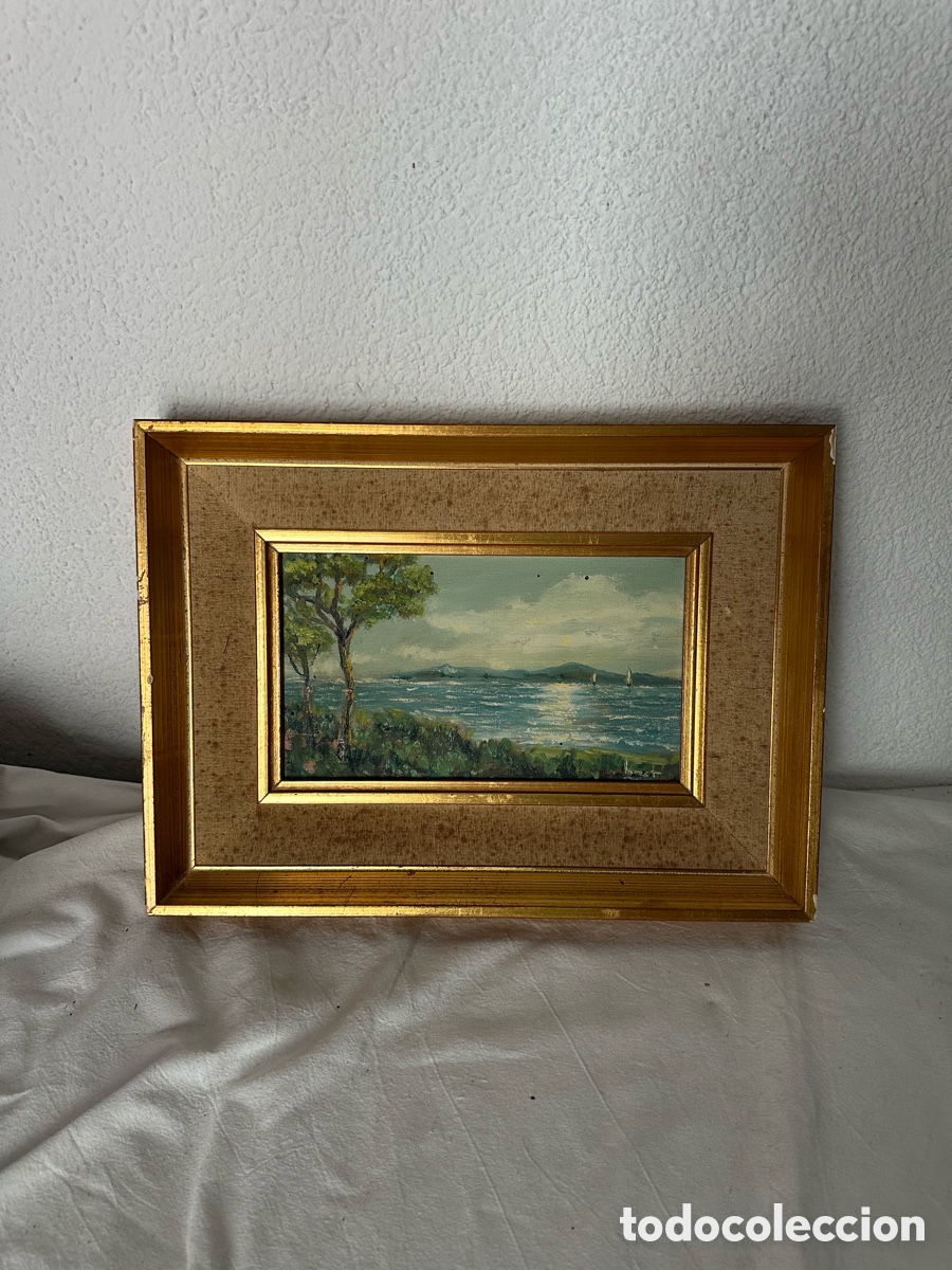 Otros Objetos de Arte: &Oacute;leo sobre lienzo paisaje marino con pinos enmarcado escuela siglo XX