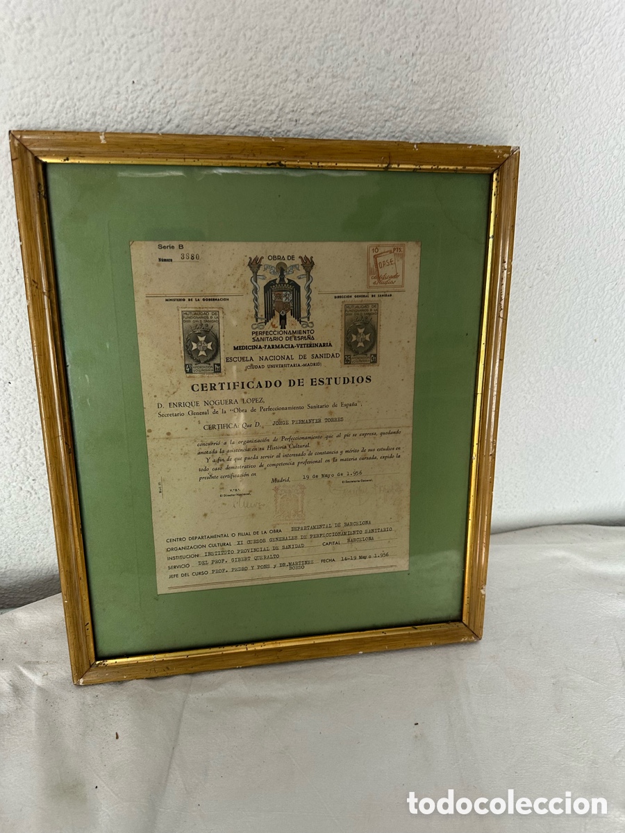 Otros Objetos de Arte: Certificado de estudios 1956 Escuela Nacional de Sanidad Madrid enmarcado original