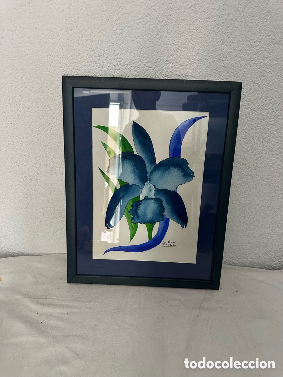 Otros Objetos de Arte: Acuarela original firmada Cristina Tonollosa flores enmarcada