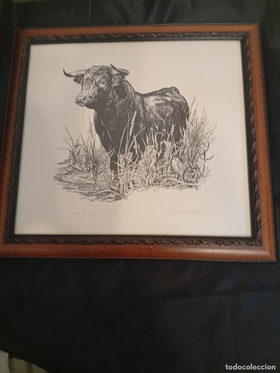 Otros objetos de arte: Toro de la marismas, de John Fulton - Foto 1