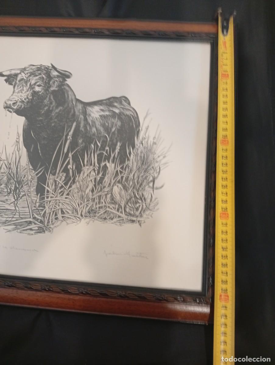 Otros objetos de arte: Toro de la marismas, de John Fulton - Foto 2