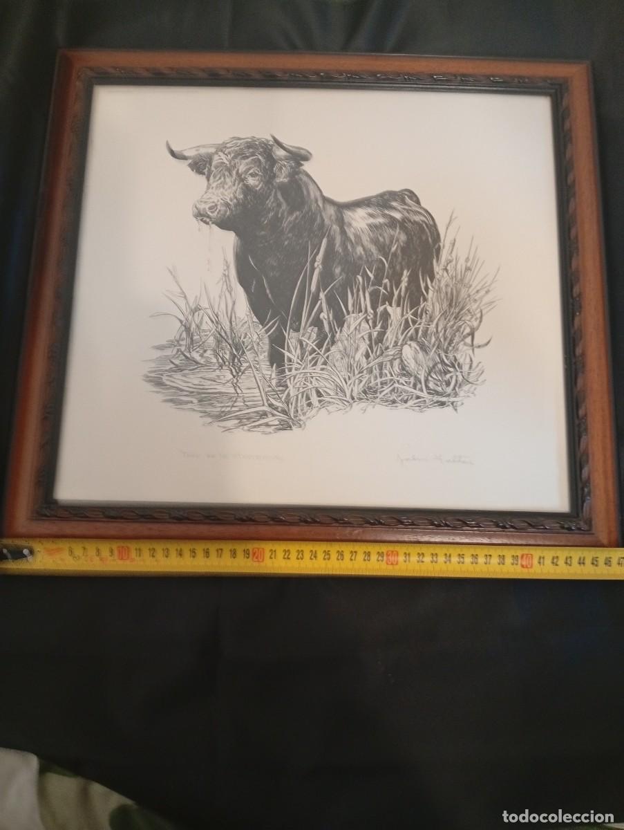 Otros objetos de arte: Toro de la marismas, de John Fulton - Foto 3