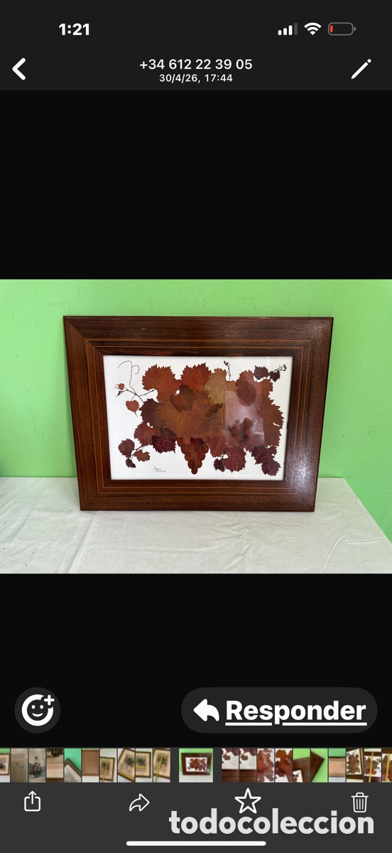 Arte: Cuadro hojas naturales prensadas firmado M &Aacute;lvarez Batllaura marco madera