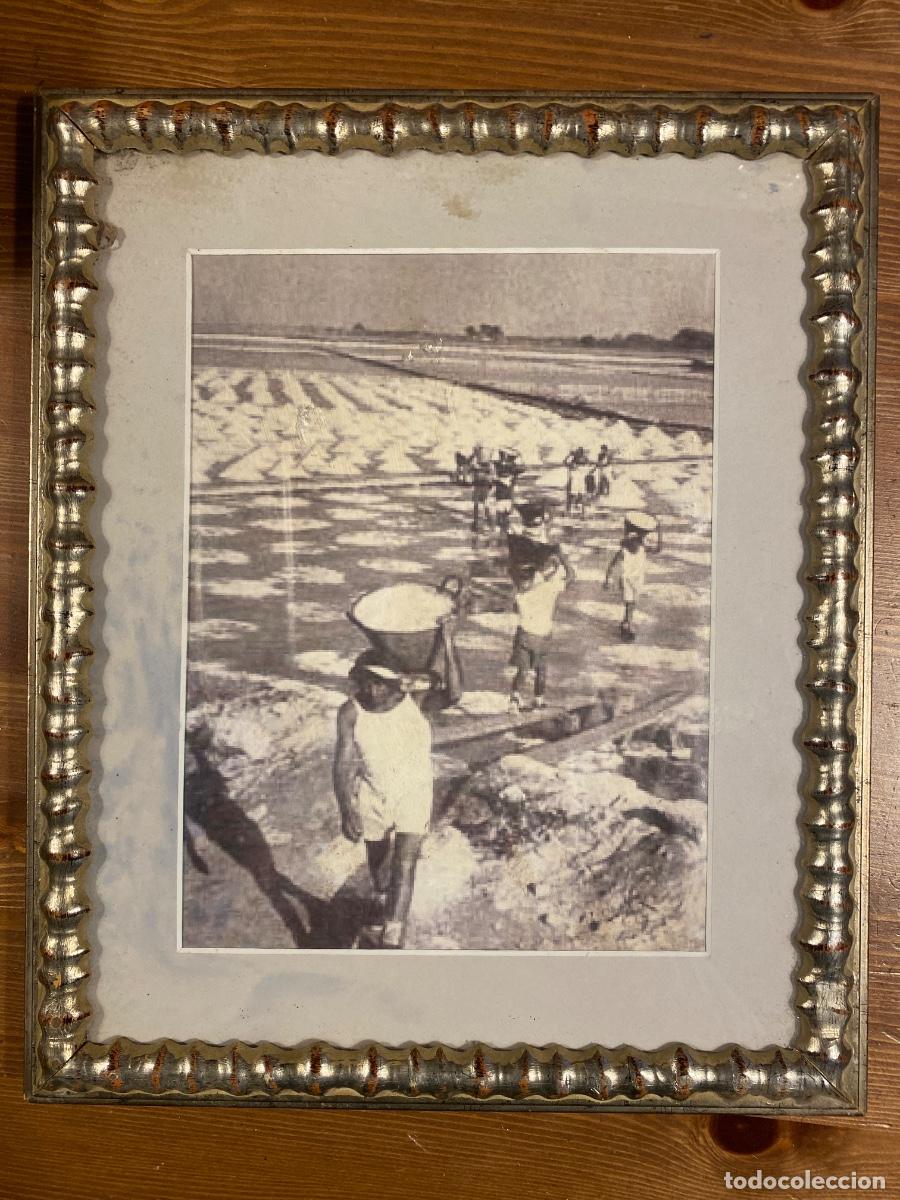 Otros Objetos de Arte: Fotografia trabajos en salinas de Sicilia Marco plateado