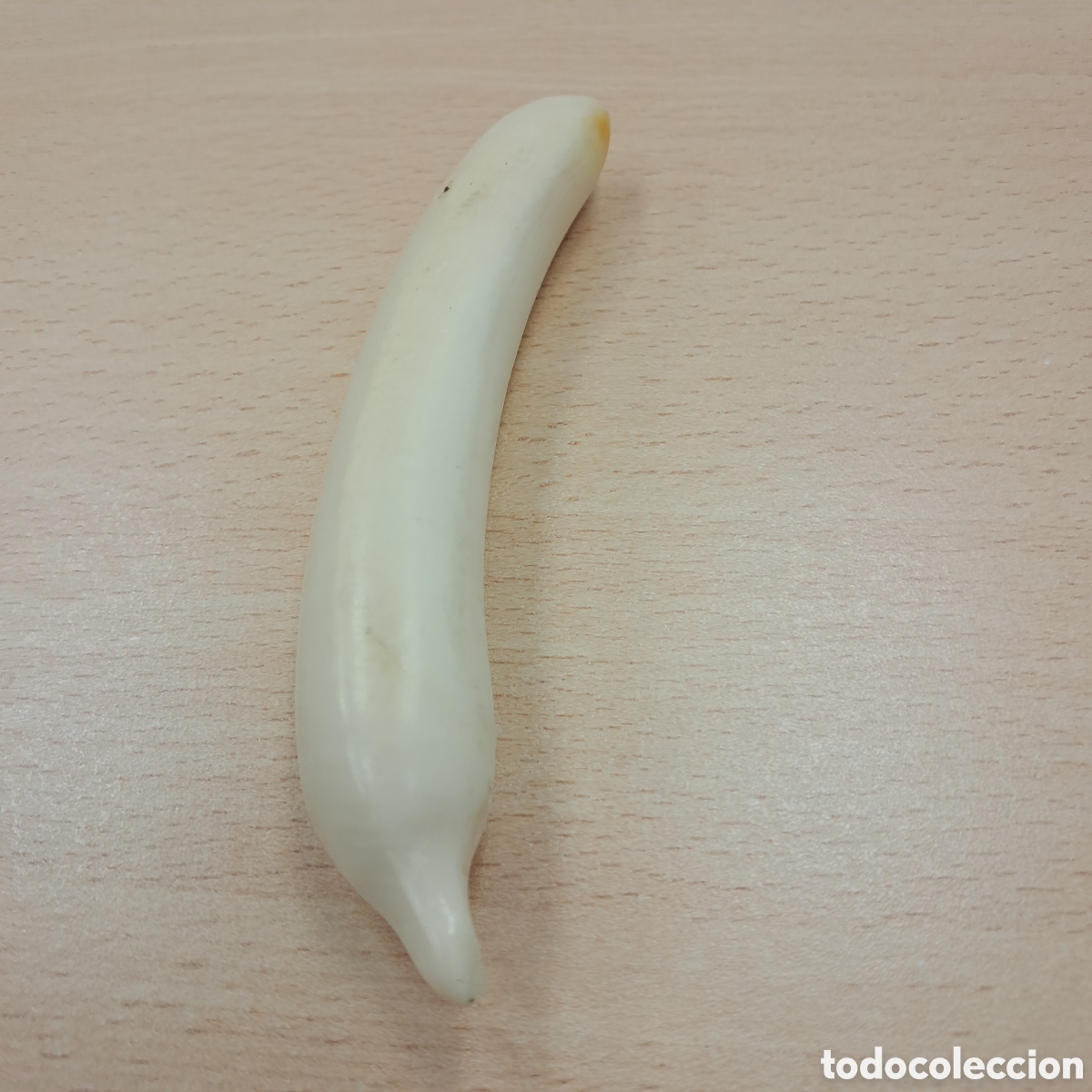 Otros objetos de arte: Amuleto en marfil.con forma.de.colmillo o pene - Foto 3