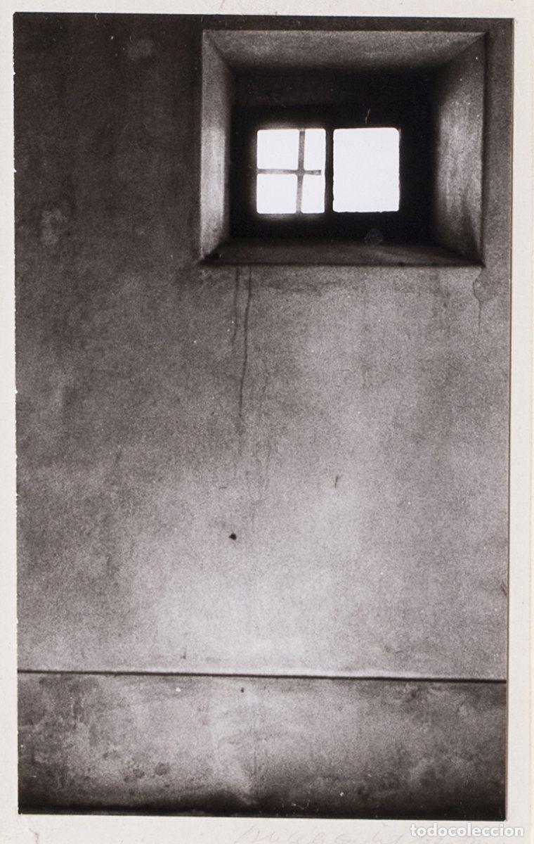 Arte: Fotograf&iacute;a - Alice Gentil Martins (firmada)