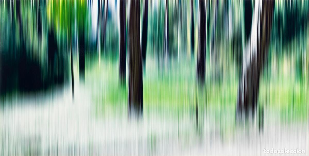 Art: Pintura - Sabine Wild