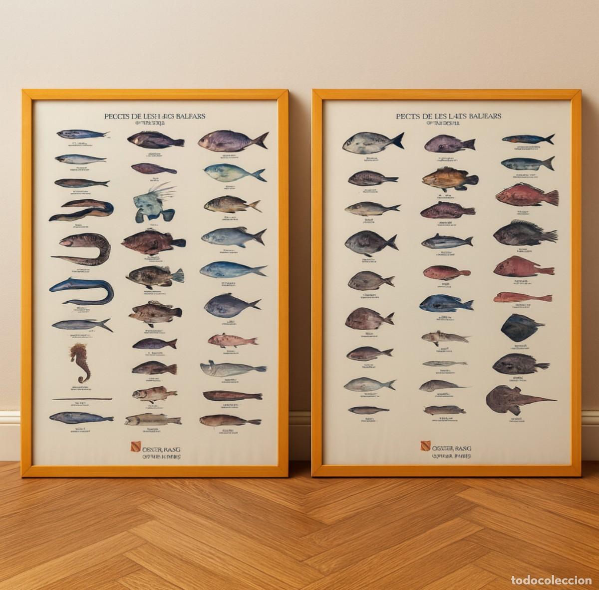 Otros Objetos de Arte: Peixos Illes Balears. Fische der Balearen. Peces Islas Baleares