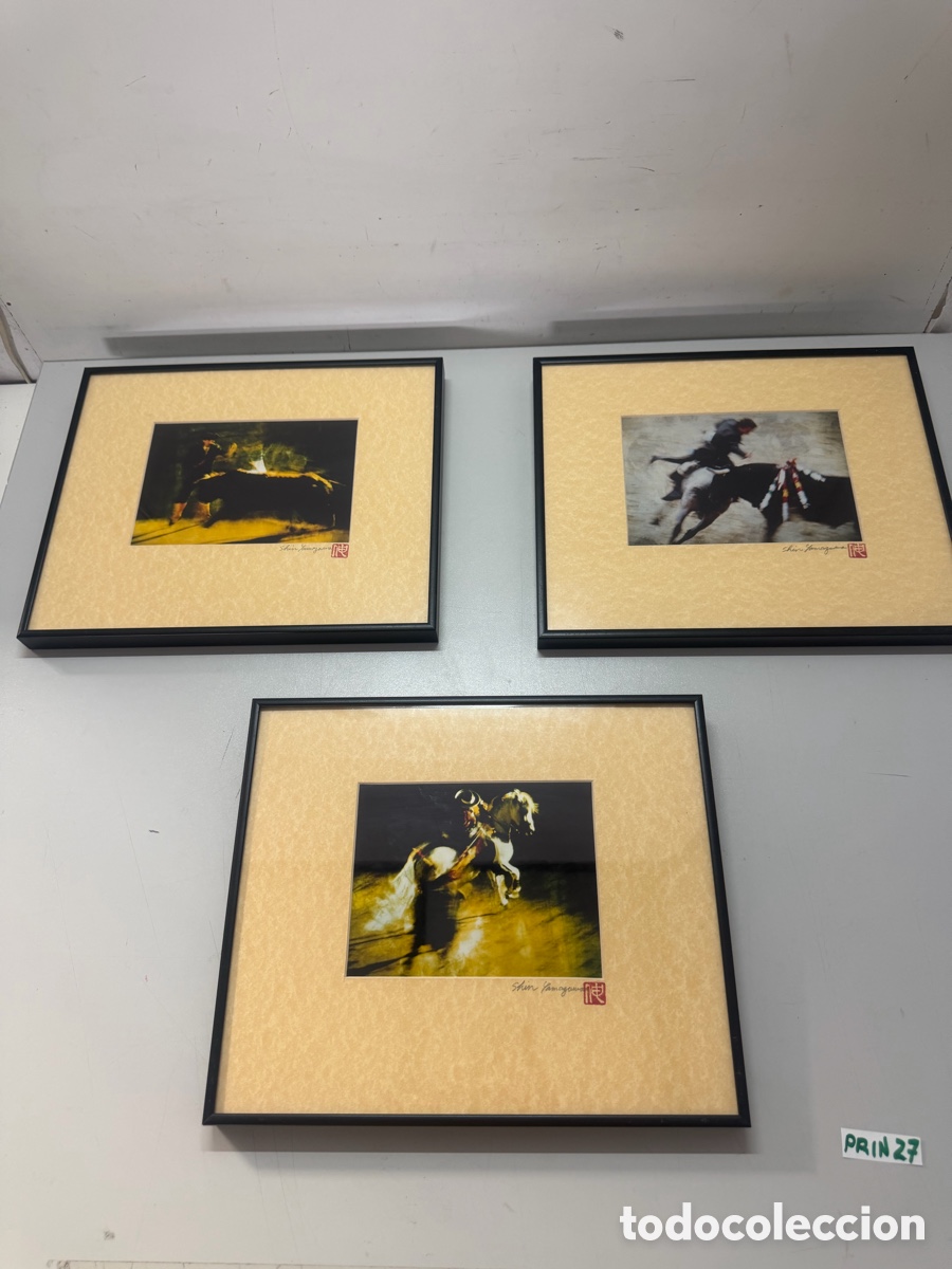 Arte: Tres fotograf&iacute;a art&iacute;stica o impresi&oacute;n firmada por el artista Shin Yanagawa