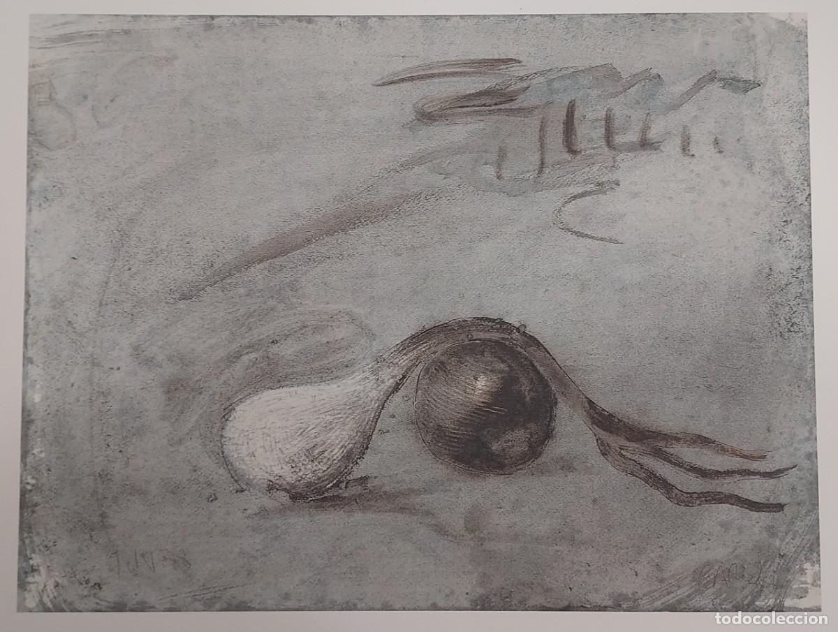 Otros objetos de arte: MIQUEL BARCELO. OIGNON. 1988. MUSEO COLECCIONES ICO (45 x 33 cm - 30 x 23 cm)