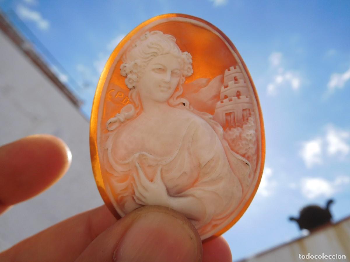Otros Objetos de Arte: Concha talla camafeo antigua