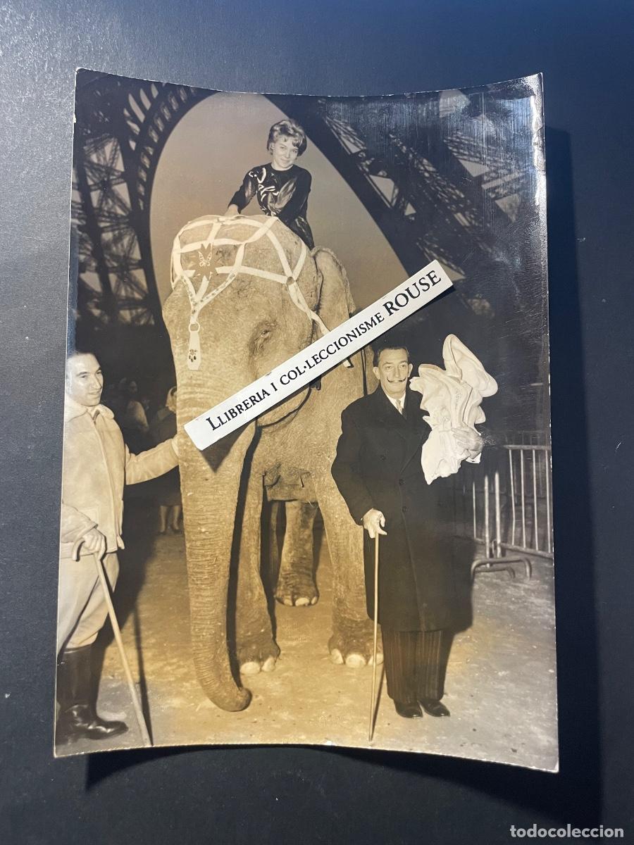 Otros Objetos de Arte: SALVADOR DALI - ANTIGUA FOTOGRAFIA 21-11-58 ORIGINAL DE LA EPOCA SALVADOR DALI JUNTO A UN ELEFANTE