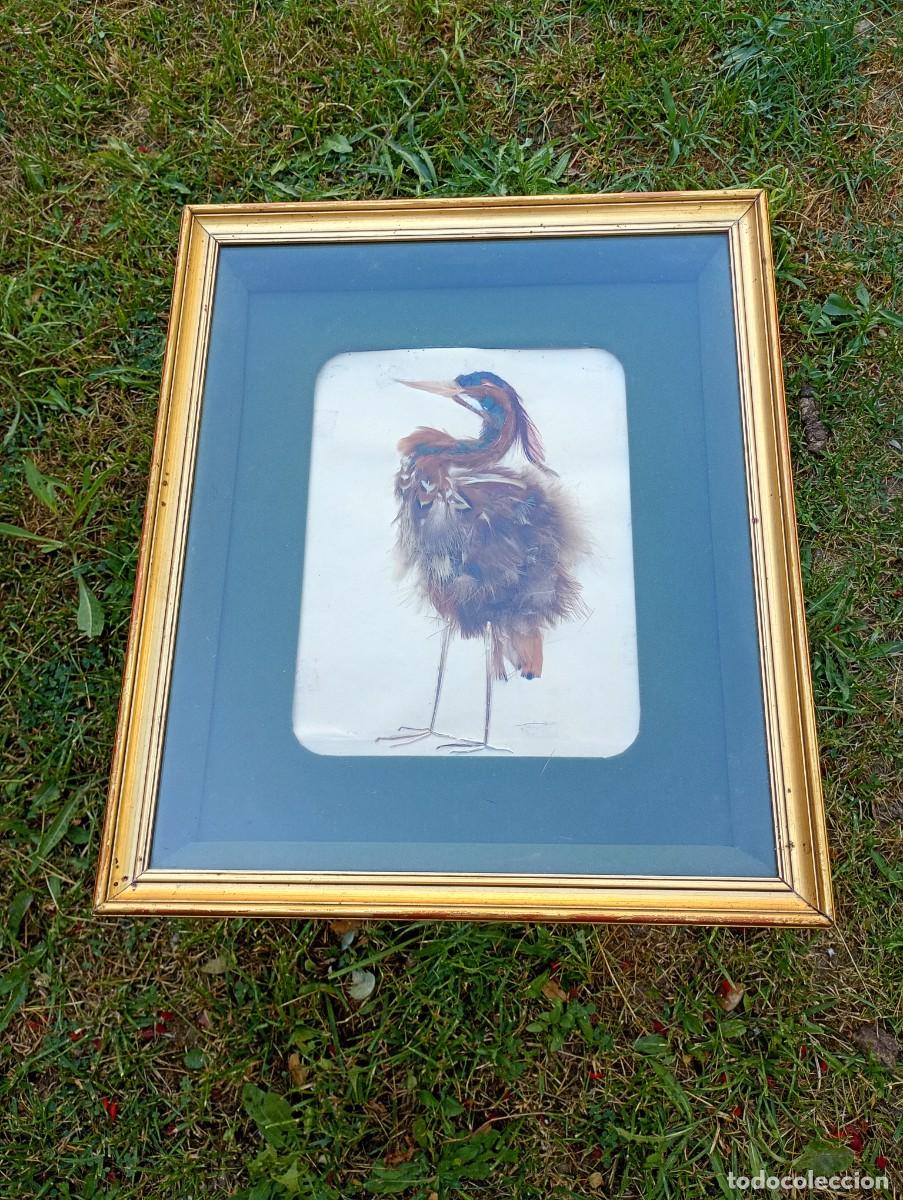Otros Objetos de Arte: Antiguo cuadro de arte plumario con garza imperial garceta Composici&oacute;n plumas naturales &ndash; A&ntilde;os 60